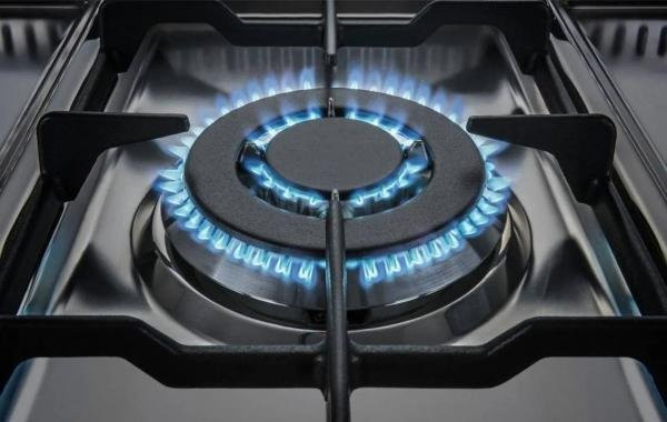 ЕС угрожает Германии судом из-за налога, мешающего отказу от российского газа