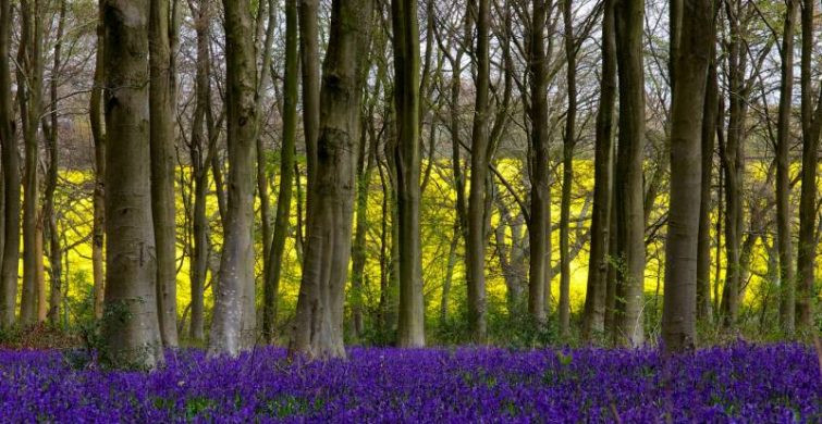 Какой сегодня праздник 28 апреля 2024 года отмечают в России