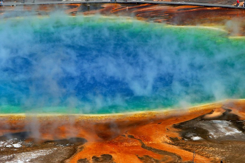 CB: гигантские вирусы играли ключевую роль в ранней жизни