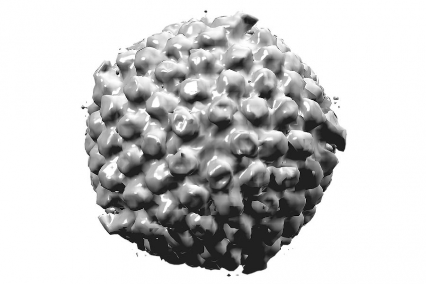 Исследование выявило связь между вирусом герпеса и деменцией