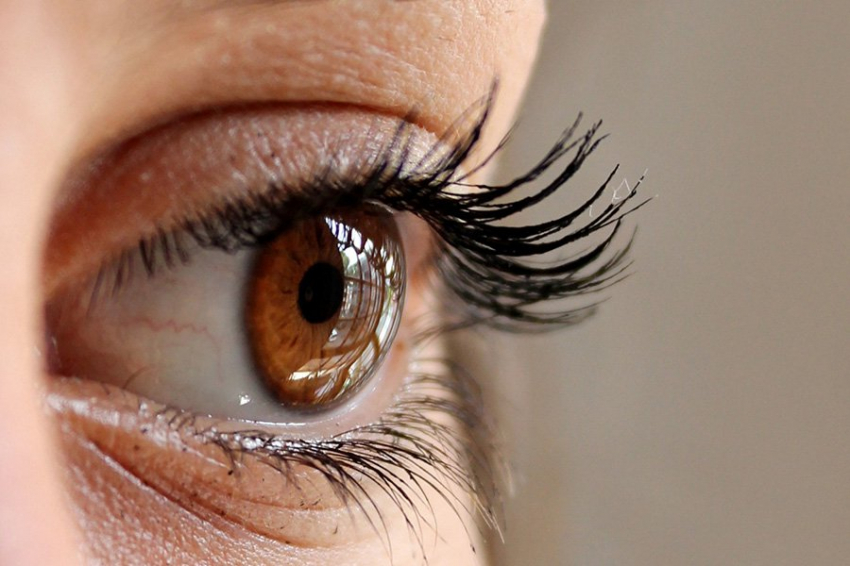 Недавно обнаруженные клетки могут быть недостающим звеном в восприятии цвета