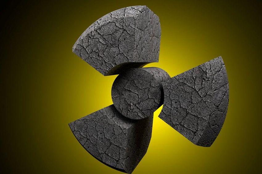 Ученые выяснили, как тихоходки выживают при воздействии радиации