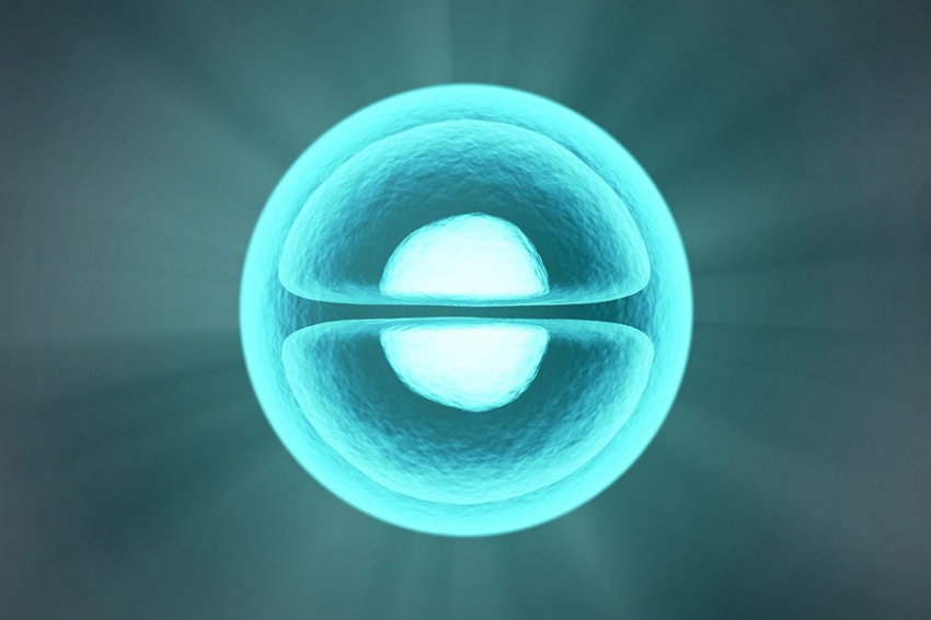 Исследование предполагает, что клетки обладают скрытой системой связи