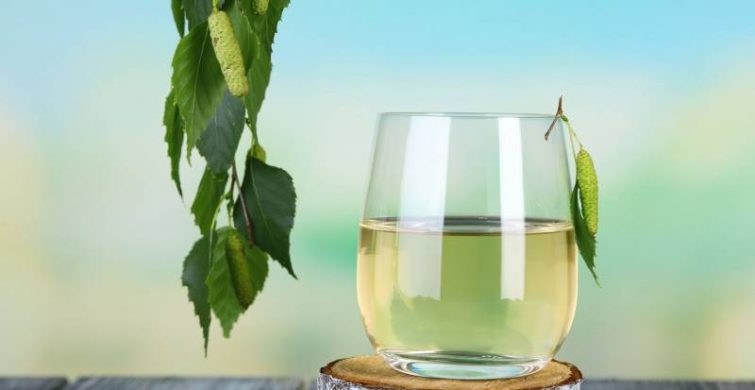 11 мая принято отмечать праздник Березосок — день, посвященный березовому соку