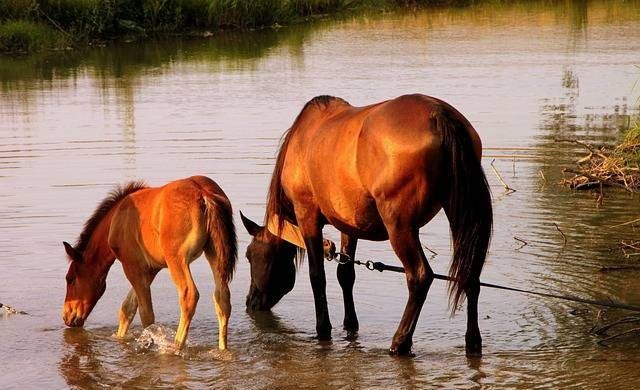 Что можно делать и что нельзя 20 мая, в день Купальницы