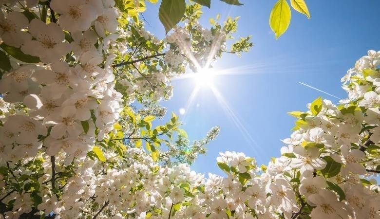 Приметы и поверья на 23 мая 2024 года: почему в Симонов день запрещалось работать на земле