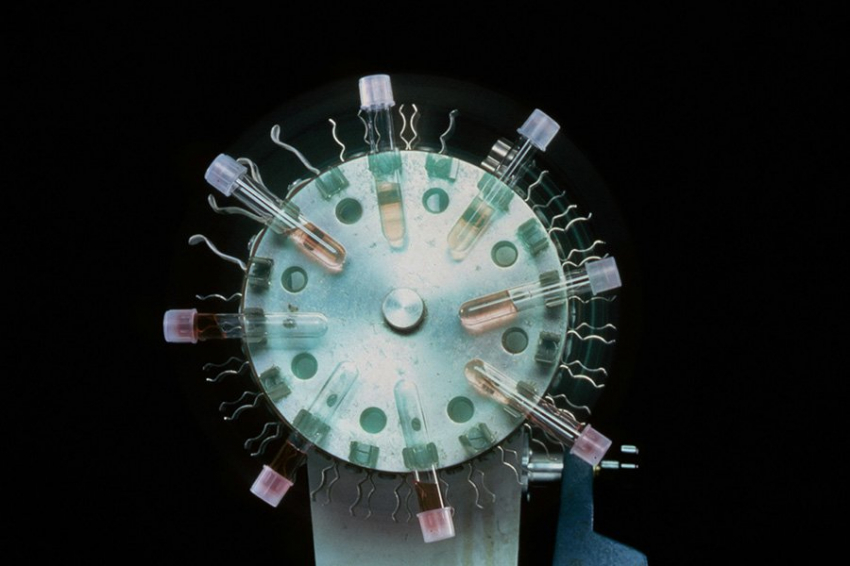 Ученые обнаружили недостающее звено между диетой и риском рака