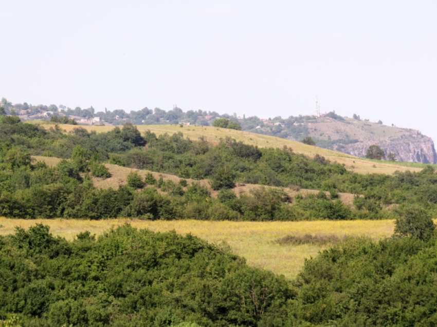 Приметы и поверья на 7 мая 2024 года подскажут, когда нужно сеять овес