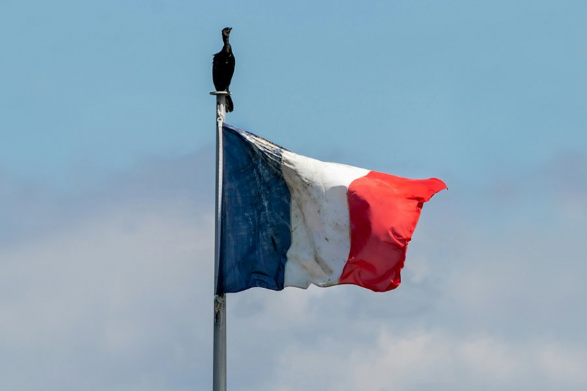 Иностранный легион – заложник политического маркетинга «галльского петуха» Эммануэля Макрона