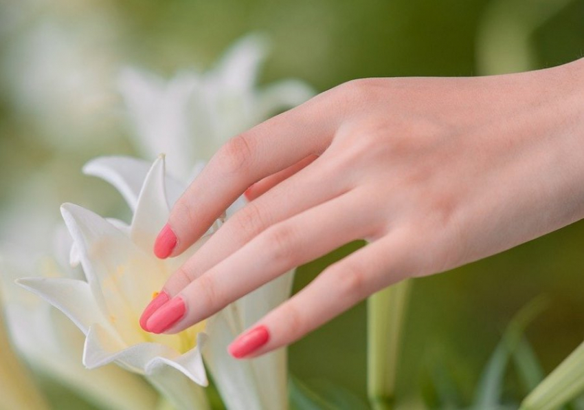 ED: искусственный интеллект точно определяет возраст по фото рук