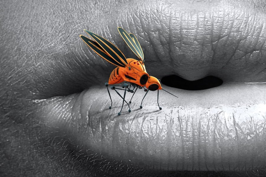 Расширяется ареал обитания комаров-переносчиков смертельных болезней