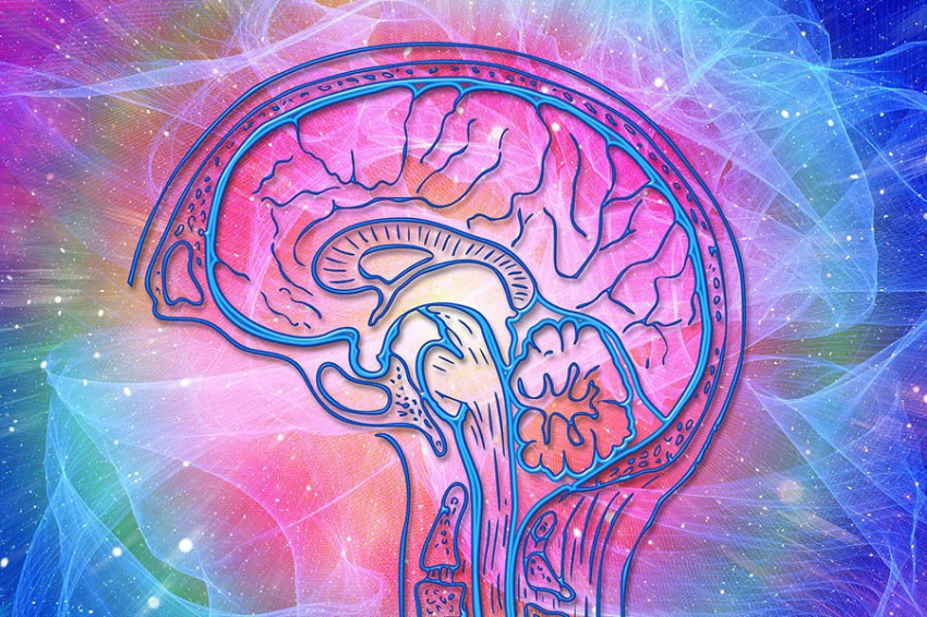 Свет влияет на когнитивные способности человека и активность мозга