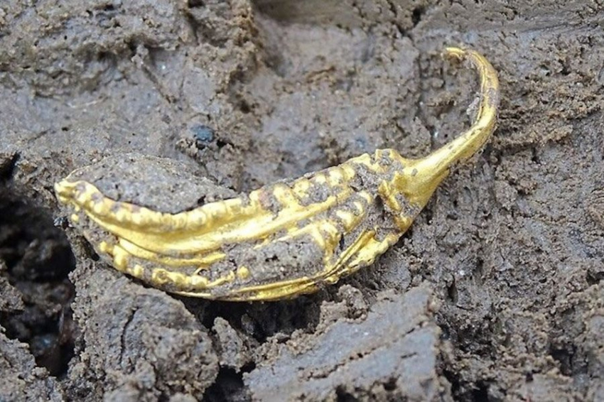 В Баварии обнаружено 6800-летнее захоронение неолитического «мэра»