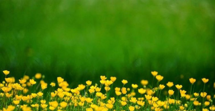 Что можно и нельзя делать в праздники 27 июня 2024 года по старинным приметам