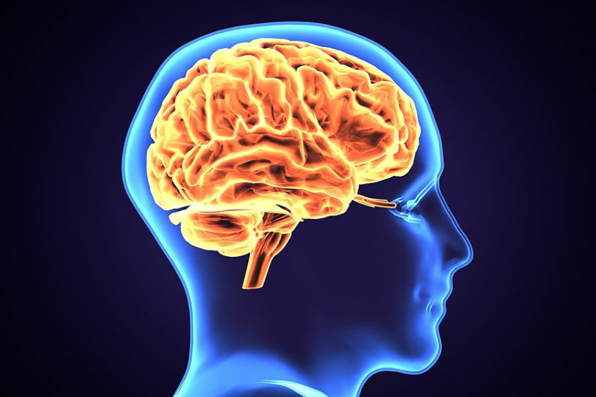 Ученые определили вероятную причину заикания в мозге