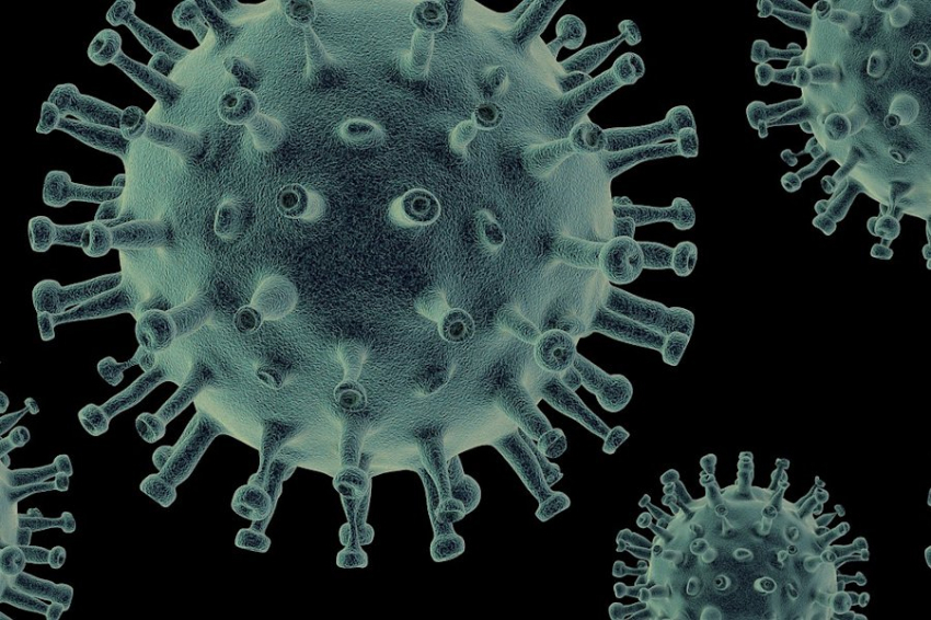 Учёные обнаружили новый вирус, вызывающий тяжёлые поражения мозга