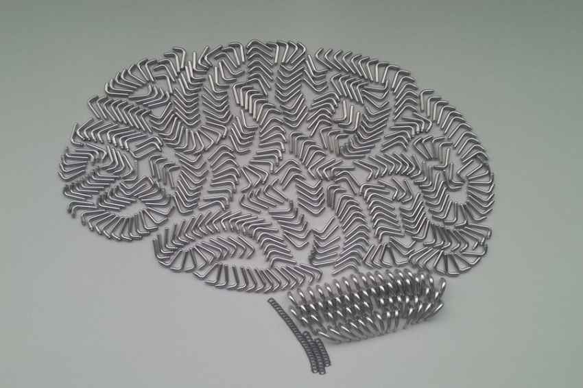 NatComms: ученые объяснили, как мозг учится на ошибках