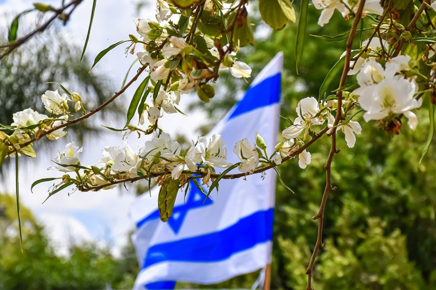 Израиль вмешался в выборы во Франции и США