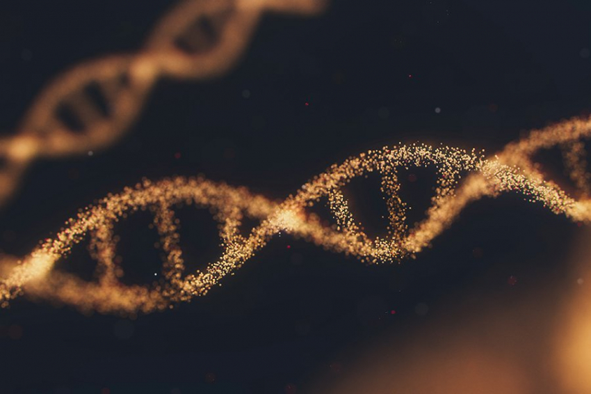 ДНК современного человека имеет следы неандертальцев, за исключением Y-хромосомы