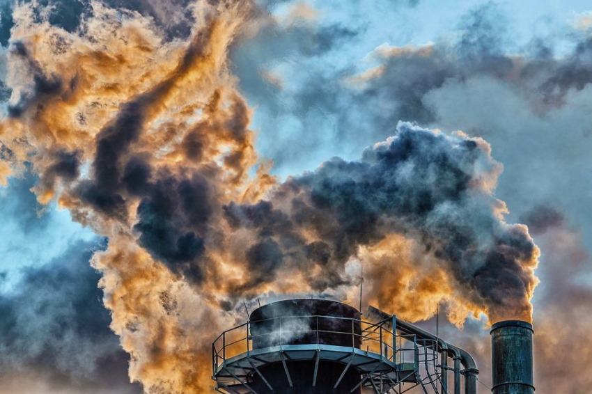 Исследование выявило влияние загрязнения воздуха на риск детского церебрального паралича