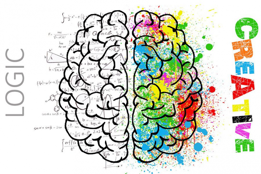 BC: креативность связана с пониженной реакцией мозга на необычные стимулы
