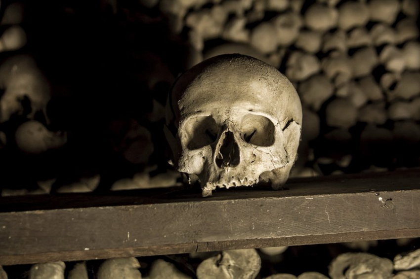 Ученые впервые уточнили возраст таинственного Таунгского ребенка