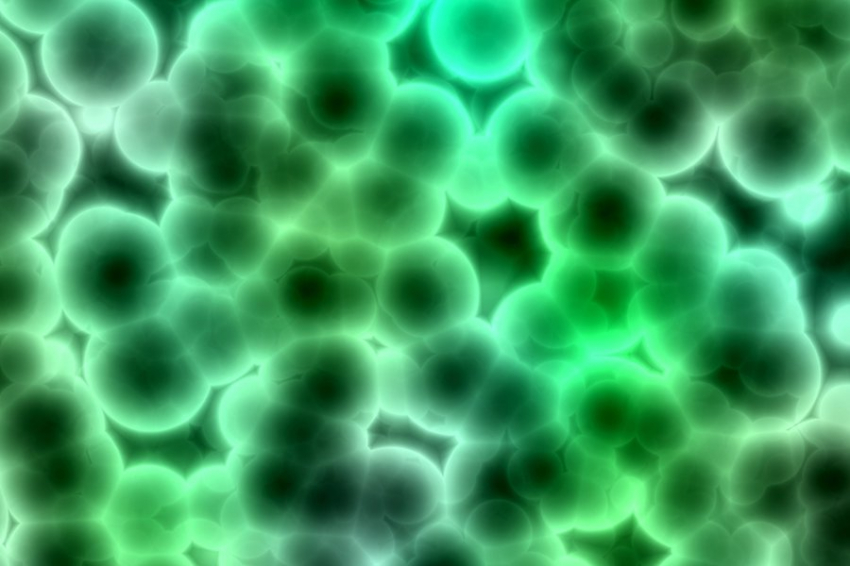 Nature: микробиомы помещений формируют наше здоровье и благополучие