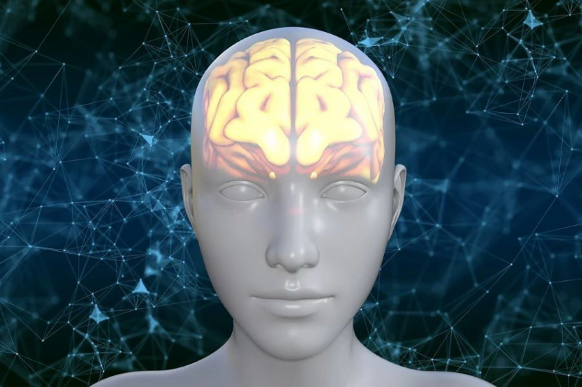 Ученые РФ разработали соединение, подавляющее развитие опухоли мозга