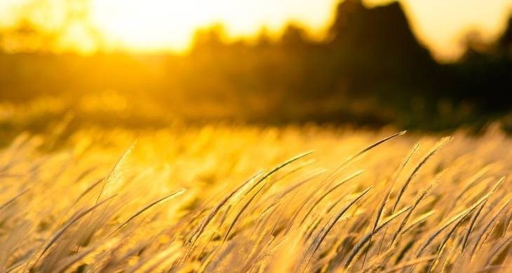 Что можно и нельзя делать в праздники 21 августа 2024 года по народным приметам