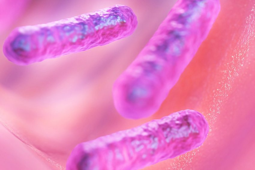 Cell: на микробиом верхних дыхательных путей влияют возраст, пол и образ жизни