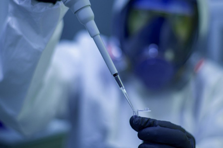 В Новосибирске представлен препарат для терапии воспаления внутренних органов