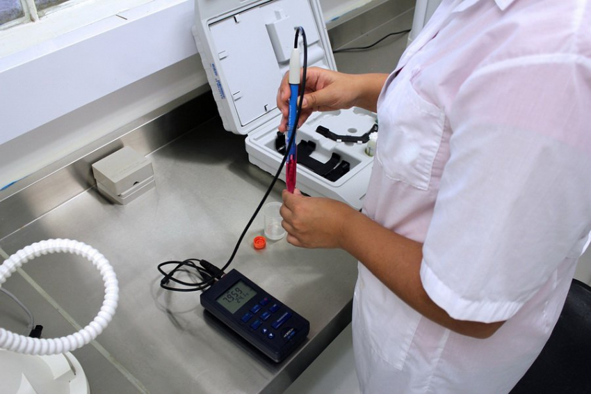 Ученые из Тулы создали экологичный катализатор на основе палладия