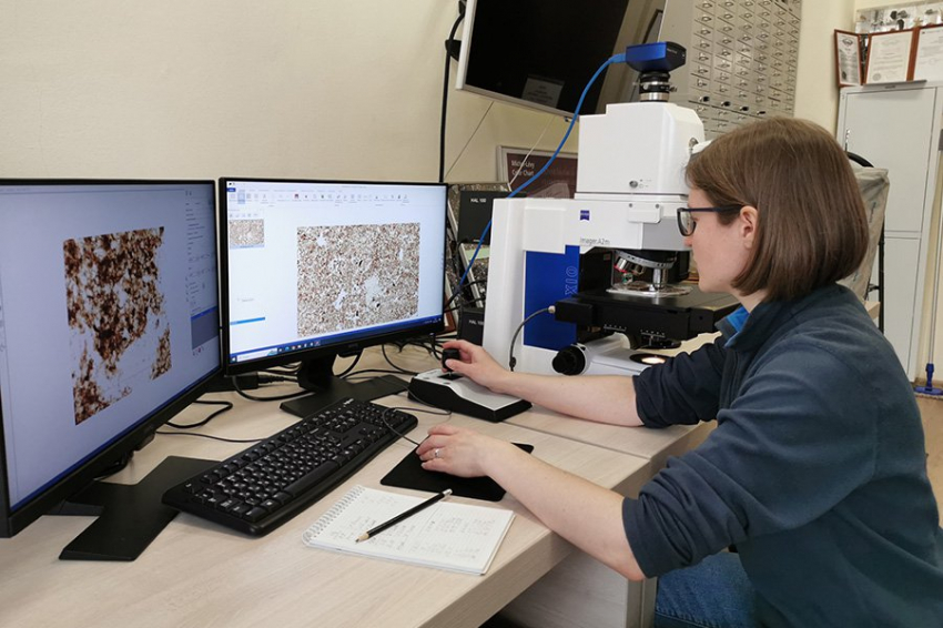 Курские черноземы потеряли 14% «плодородных» веществ из-за водной эрозии