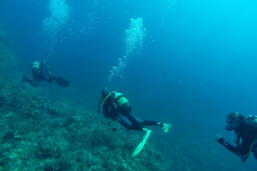 Подводные археологи представили уникальные находки с затонувшего судна XIX века