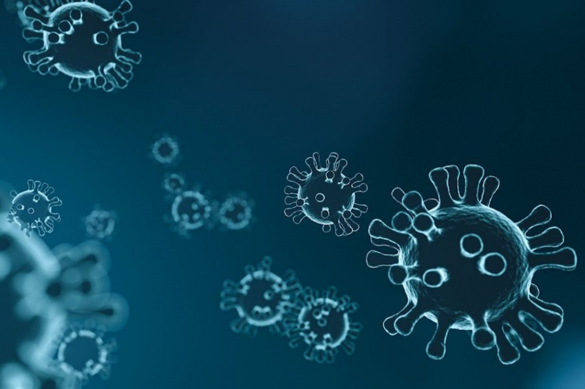 Science: ученые США выявили антитело против всех штаммов коронавируса