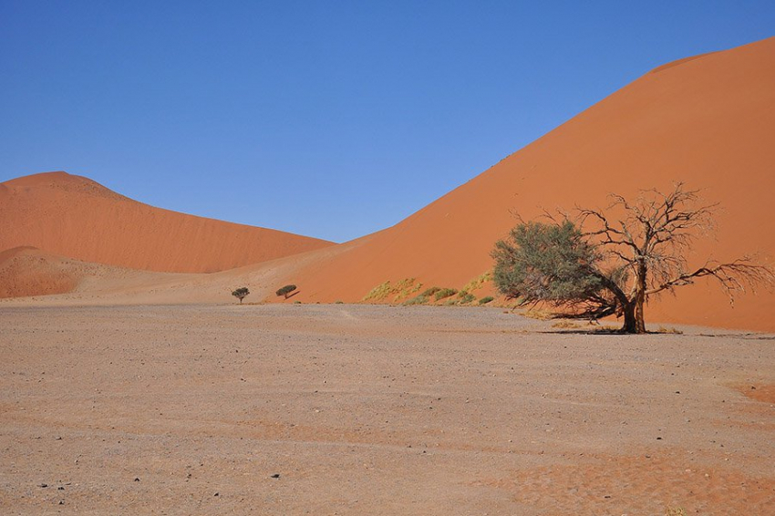 Очаги ископаемых в Африке затрудняют более полную картину эволюции человека