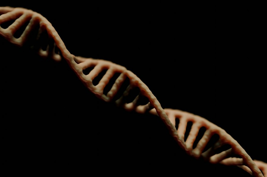 Ученые выявили новый механизм регуляции ДНК