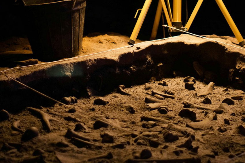 В Кении найдены кости гоминина, сосуществовавшего с ранними предками людей