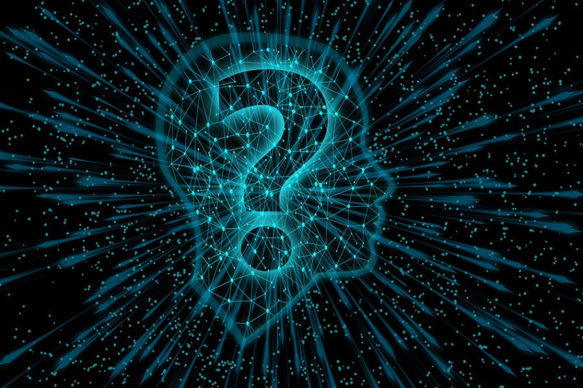 Приоритет неожиданностям: обнаружен новый механизм мозга