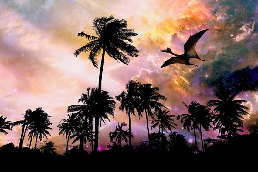 Ученые объяснили, почему коллаген динозавров может сохраняться миллионы лет