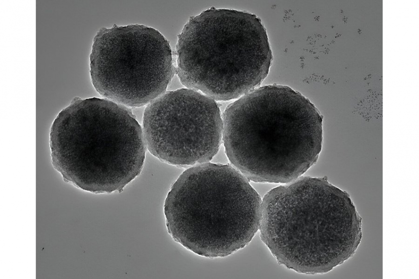 Крошечные магнитные роботы могут лечить кровоизлияния в мозг