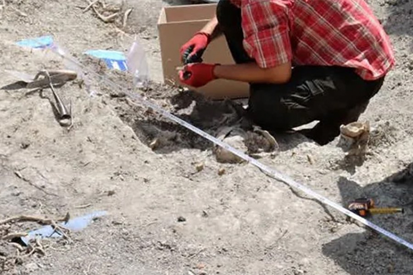 В Польше обнаружено средневековое захоронение «вампира»