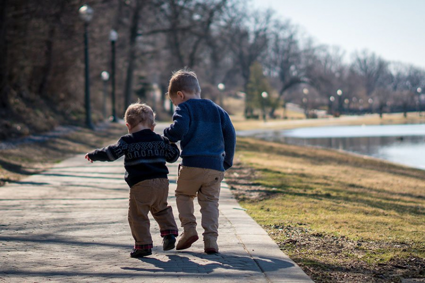 Районы, покрытые деревьями, снижают риск СДВГ у детей