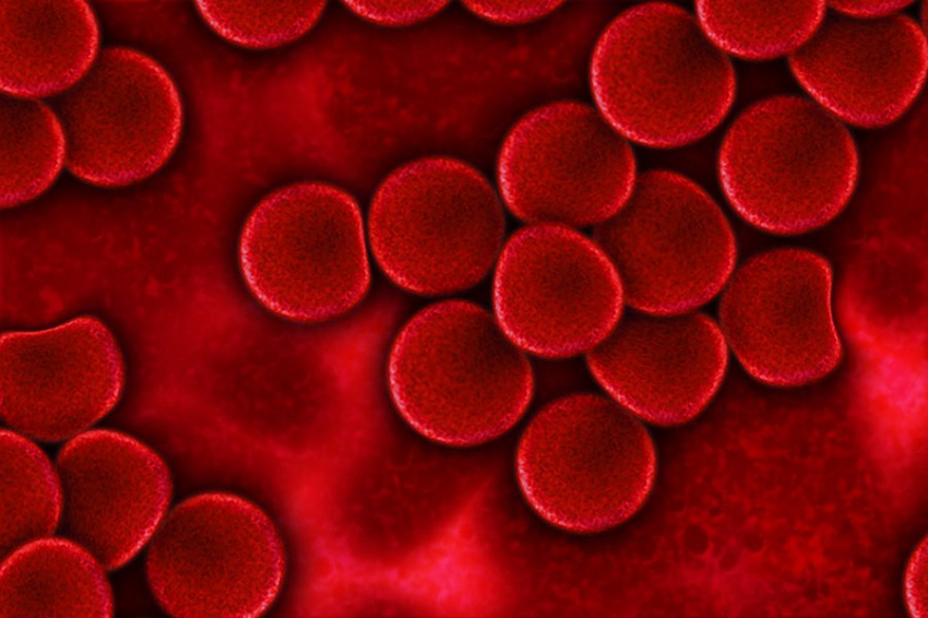 Ученые выяснили, почему воспаление может вызвать рак крови