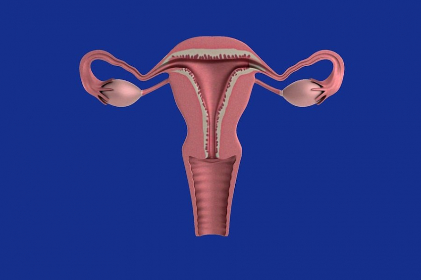 Новое лечение помогает дольше сохранять репродуктивное здоровье