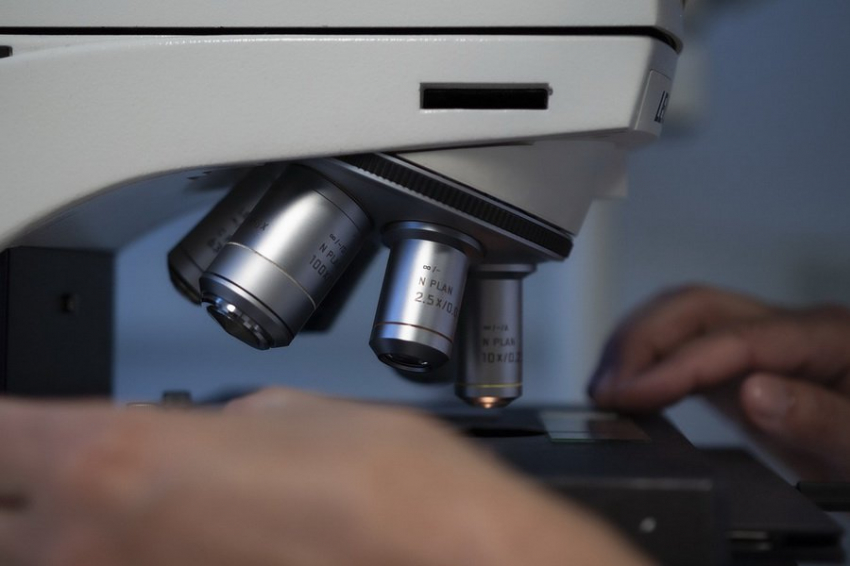 Белок STAT3: ключ к маскировке раковых клеток от иммунной системы