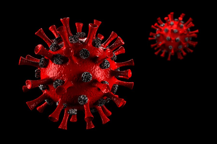 Что нужно знать о новом варианте XEC COVID-19