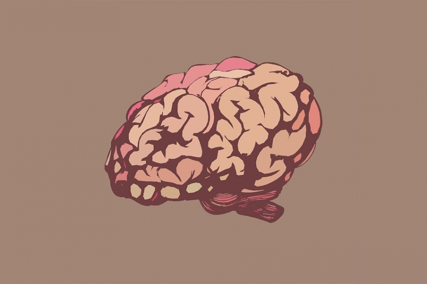 Ученые обнаружили, что мозг организует дневные события по "главам"