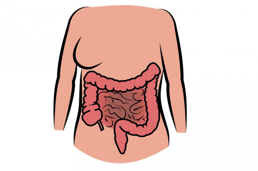 Время переваривания продуктов влияет на состояние кишечника