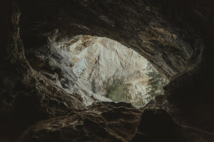 В древней пещере обнаружены доказательства использования лекарственных трав